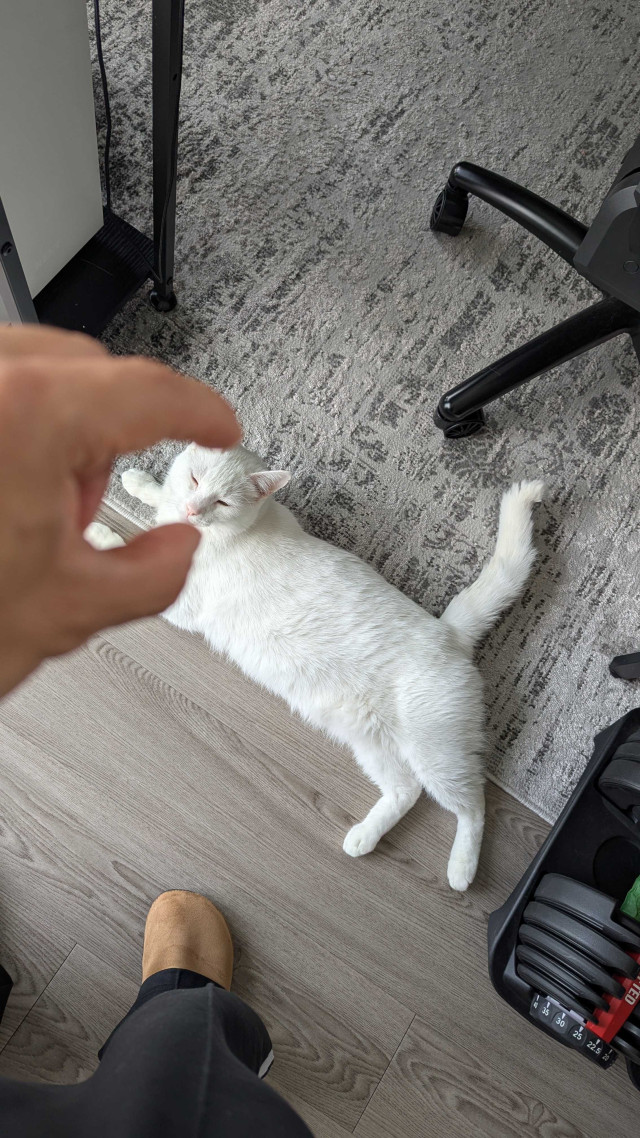 Foto — @erick___erre